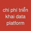 chi phí triển khai data platform