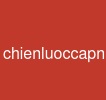 chienluoccapnhatembedding