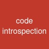 code introspection