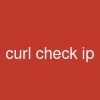 curl check ip