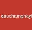 dauchamphaytrongjava