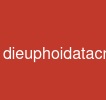 dieuphoidatacnhan