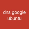 dns google ubuntu