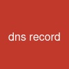 dns record