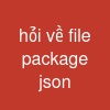 hỏi về file package. json