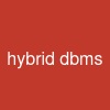 hybrid dbms