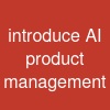 introduce AI product management