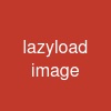 lazyload image