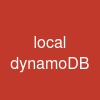 local dynamoDB