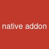 native addon