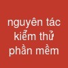 nguyên tác kiểm thử phần mềm