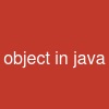 object in java