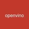 openvino