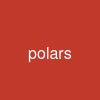 pola-rs