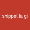 snippet la gi