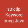 strictfp Keyword trong Java