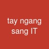 tay ngang sang IT