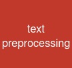 text preprocessing