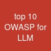 top 10 OWASP for LLM