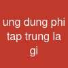 ung dung phi tap trung la gi