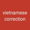 vietnamese correction