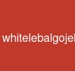whitelebalgojekcloneapp