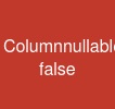 @Column(nullable = false)
