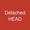 Detached HEAD