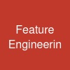 Feature Engineerin