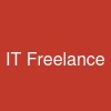 IT Freelance