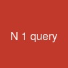 N+1 query