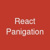 React Panigation