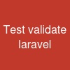 Test validate laravel