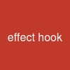 effect hook