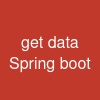 get data Spring boot