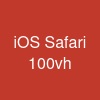 iOS Safari 100vh