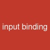 input binding
