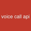 voice call api