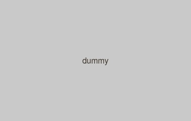 dummy