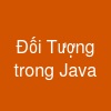 Đối Tượng trong Java