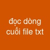 đọc dòng cuối file txt