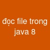 đọc file trong java 8