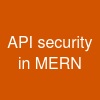 API security in MERN