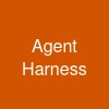 Agent Harness