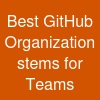 Best GitHub Organization stems for Teams