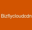 Bizflycloudcdn