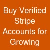 Buy Verified Stripe Accounts for Growing
