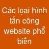 Các lọai hình tấn công website phổ biến