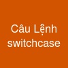 Câu Lệnh switch-case