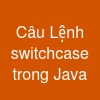 Câu Lệnh switch-case trong Java